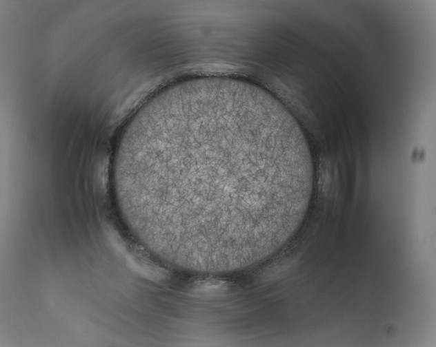 X0000111010206200907101324