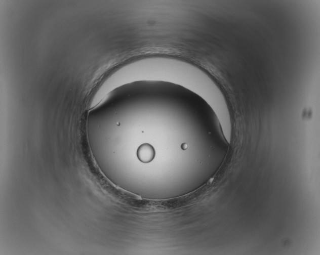 X0000111010207200907101324