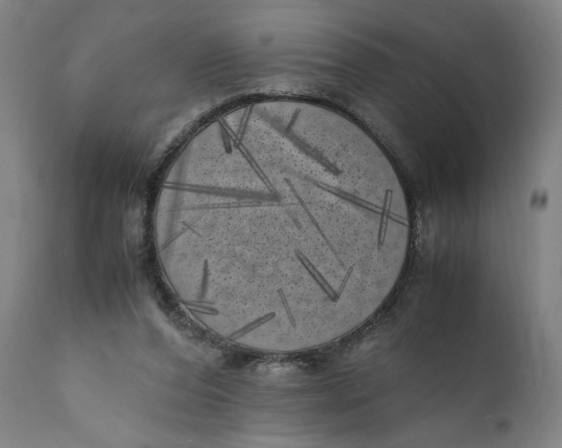 X0000111010208200907101324