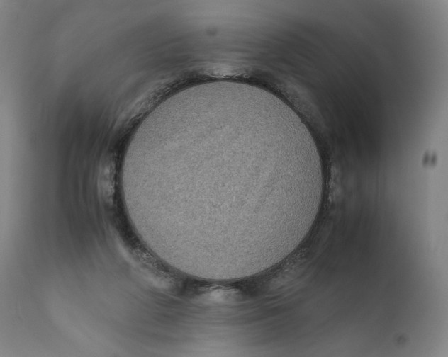 X0000111010210200907101324