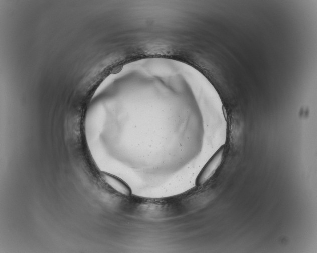 X0000111010211200907101324