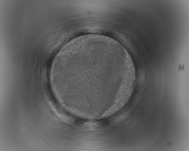 X0000111010213200907101324