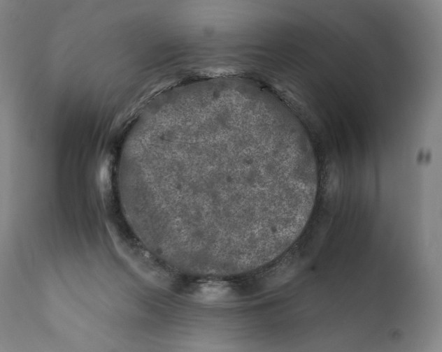 X0000111010214200907101324