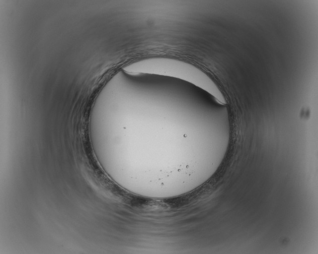 X0000111010215200907101324