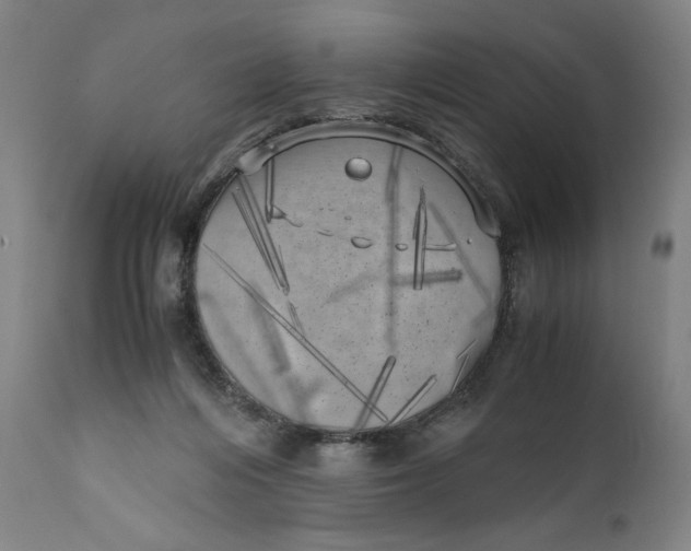 X0000111010216200907101324