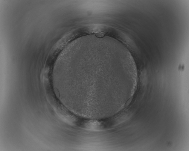 X0000111010217200907101324