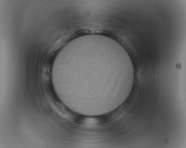 X0000111010218200907101324