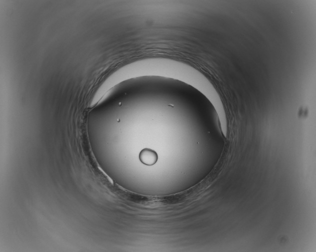 X0000111010219200907101324