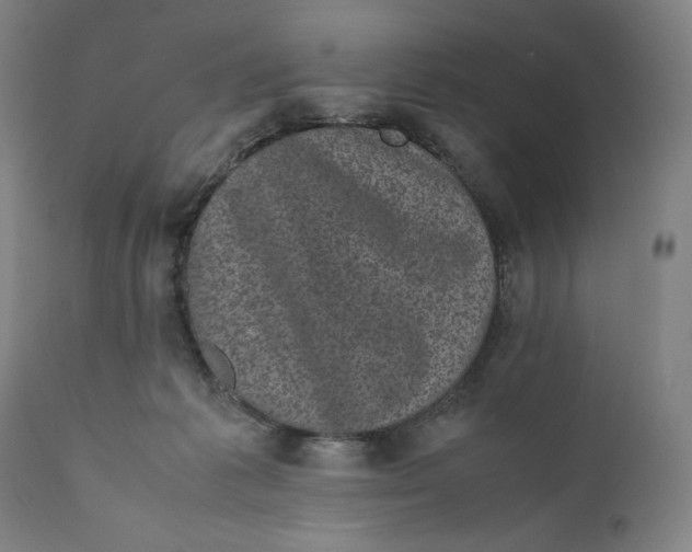 X0000111010221200907101324