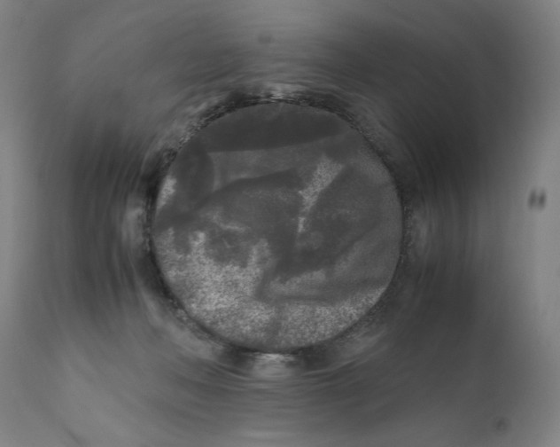 X0000111010222200907101324