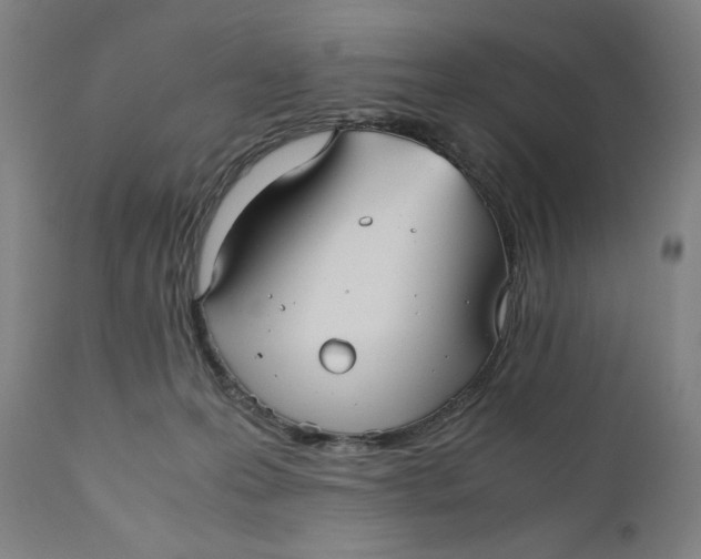 X0000111010223200907101324