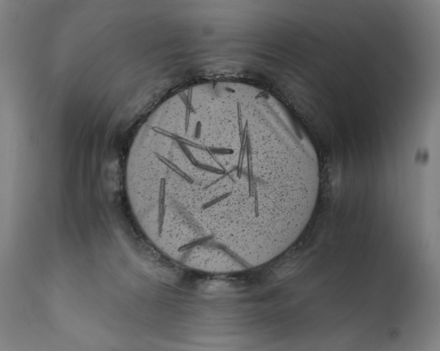 X0000111010224200907101324