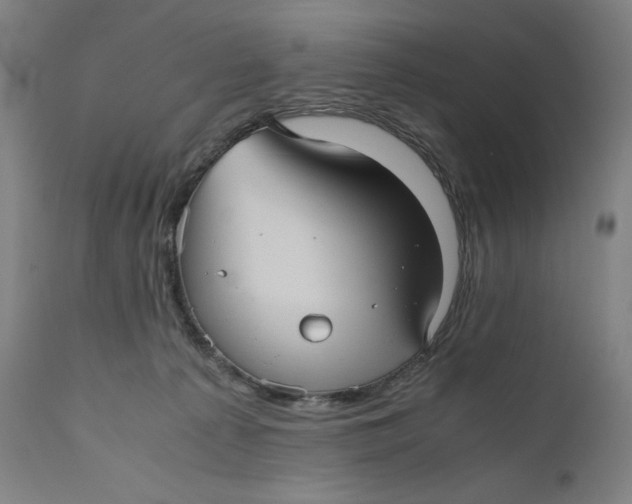X0000111010225200907101323