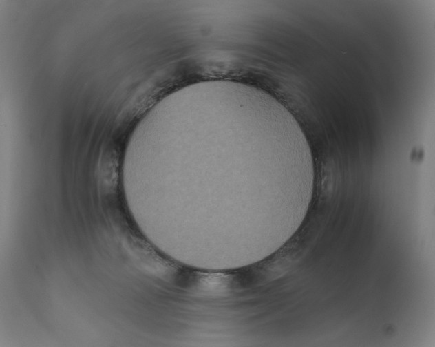 X0000111010226200907101323