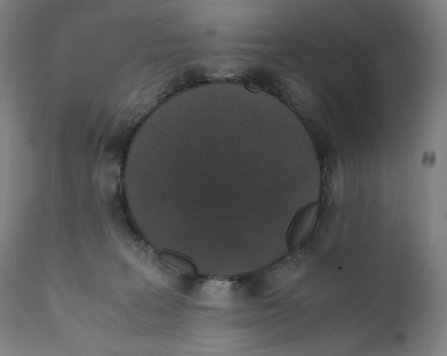 X0000111010227200907101323