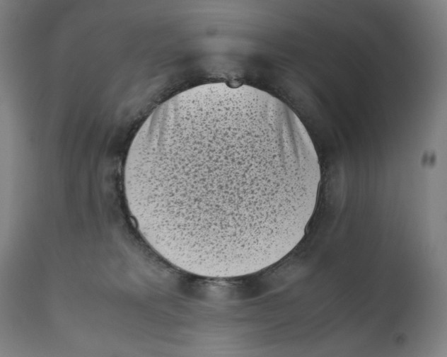 X0000111010229200907101323