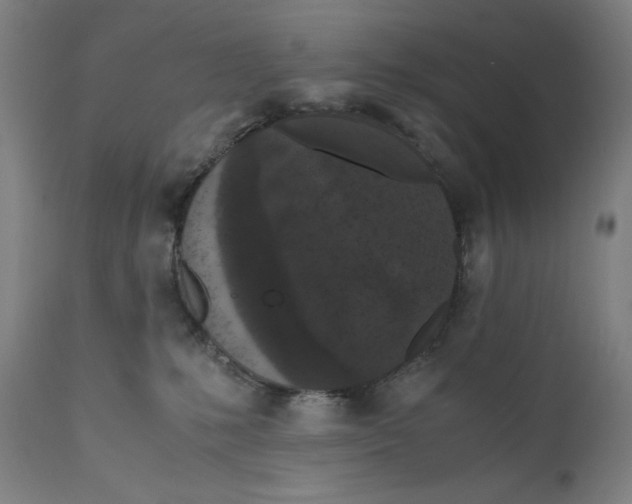 X0000111010231200907101323