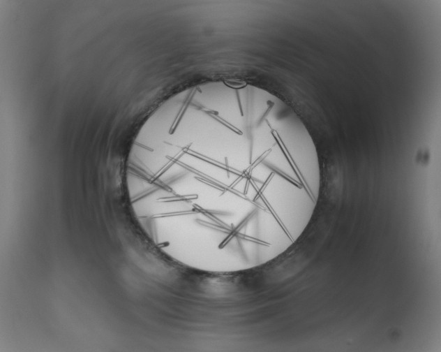 X0000111010232200907101323