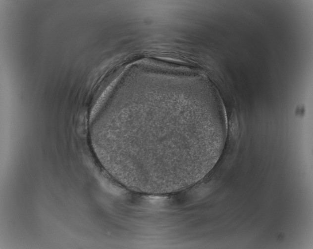 X0000111010233200907101323