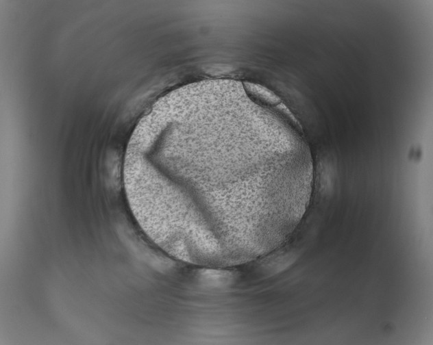 X0000111010234200907101323