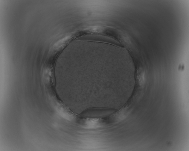 X0000111010235200907101323