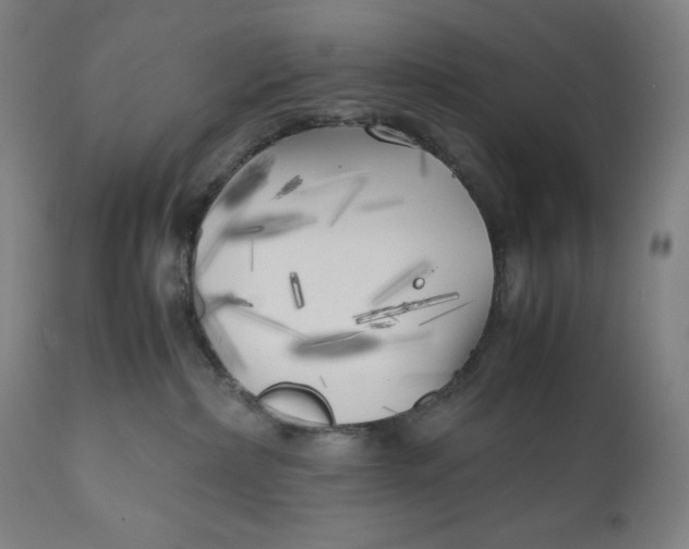 X0000111010236200907101323