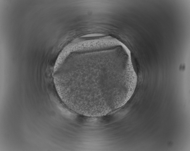 X0000111010237200907101323