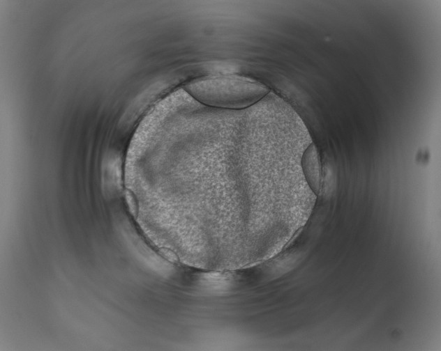 X0000111010238200907101323