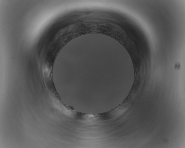 X0000111010239200907101323