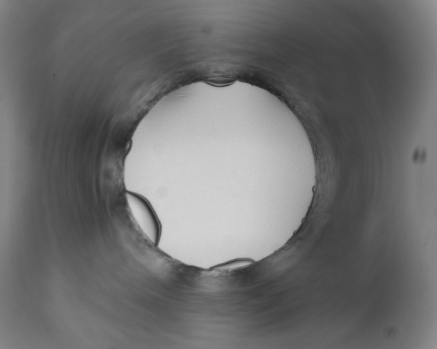 X0000111010240200907101323