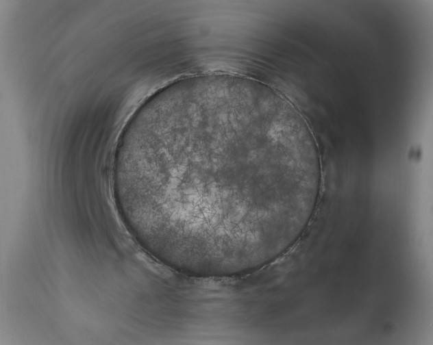 X0000111010241200907101323