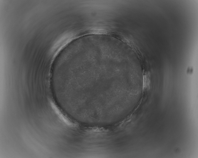 X0000111010243200907101323