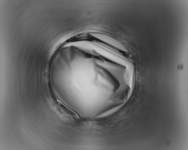 X0000111010244200907101323