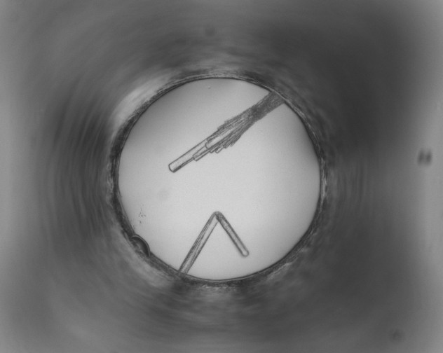 X0000111010245200907101323
