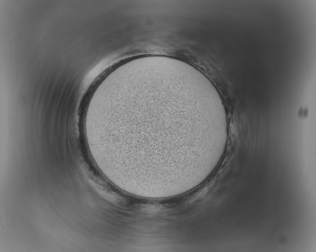 X0000111010246200907101323