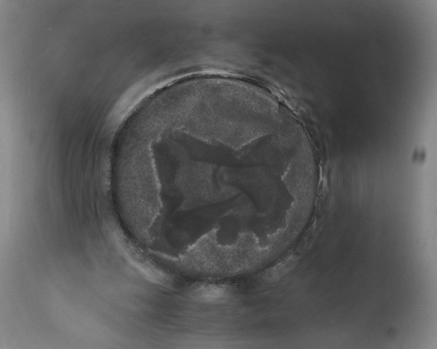 X0000111010247200907101323