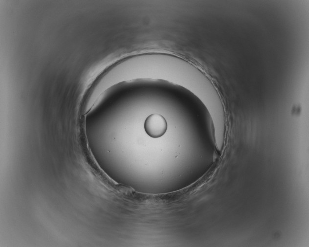 X0000111010248200907101323
