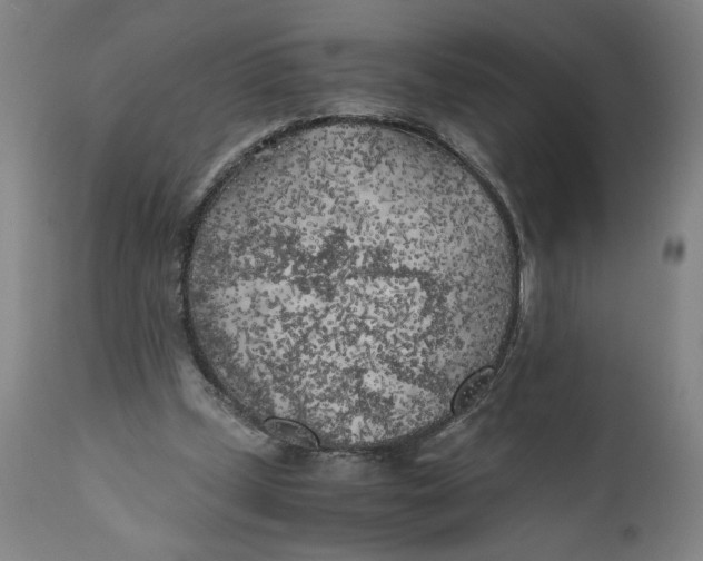 X0000111010249200907101323