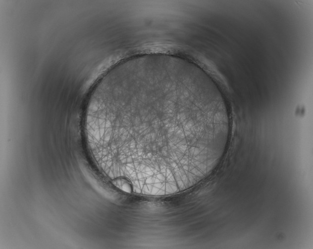X0000111010250200907101323