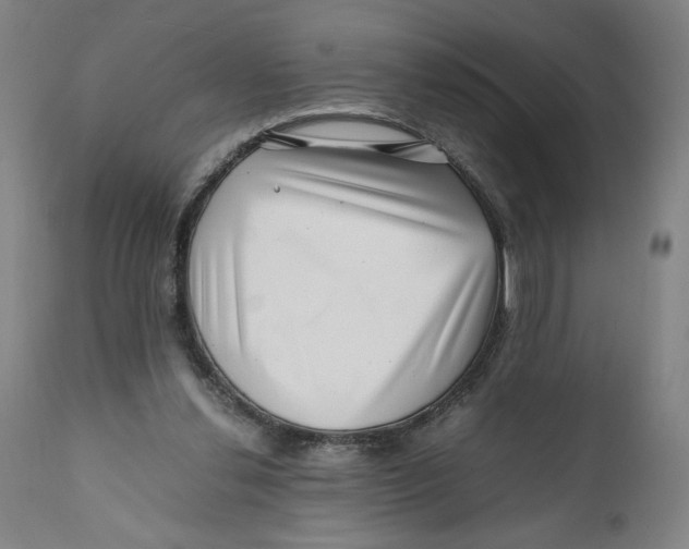 X0000111010252200907101323