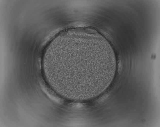 X0000111010254200907101323