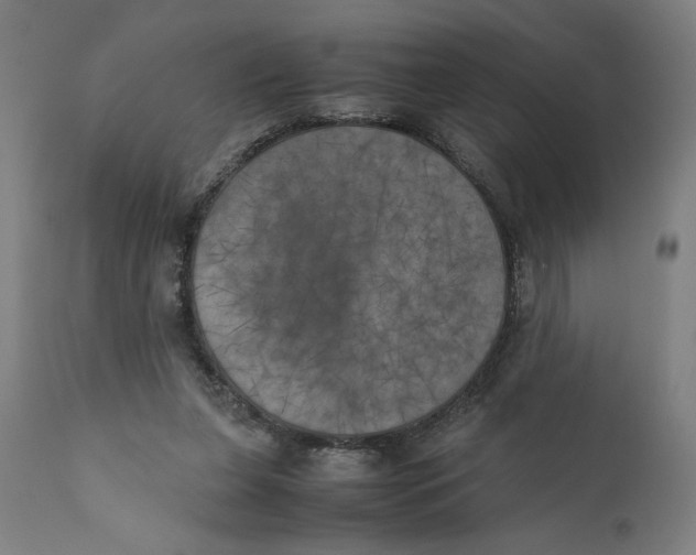 X0000111010255200907101323
