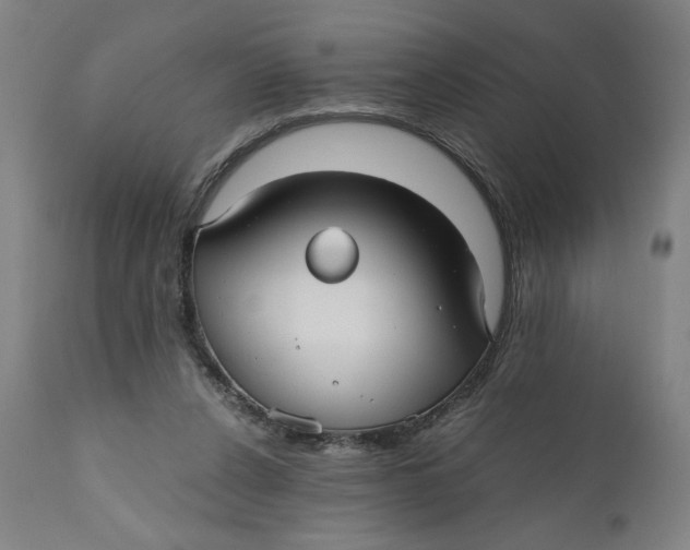 X0000111010256200907101323