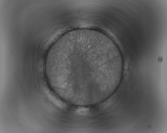 X0000111010257200907101323