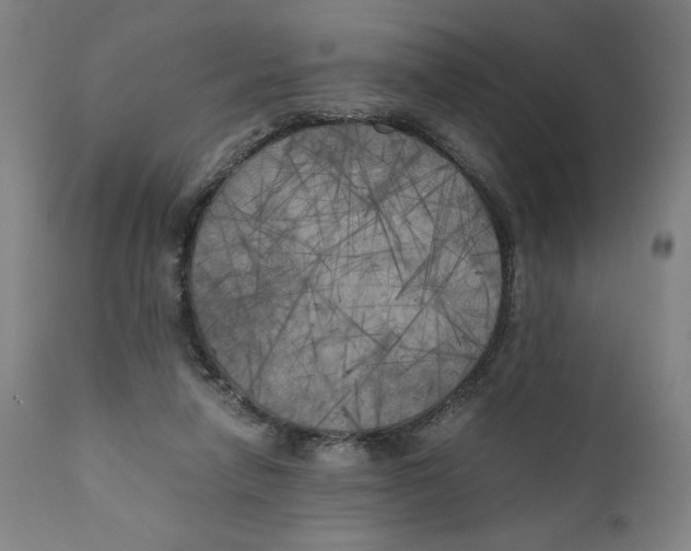 X0000111010258200907101323