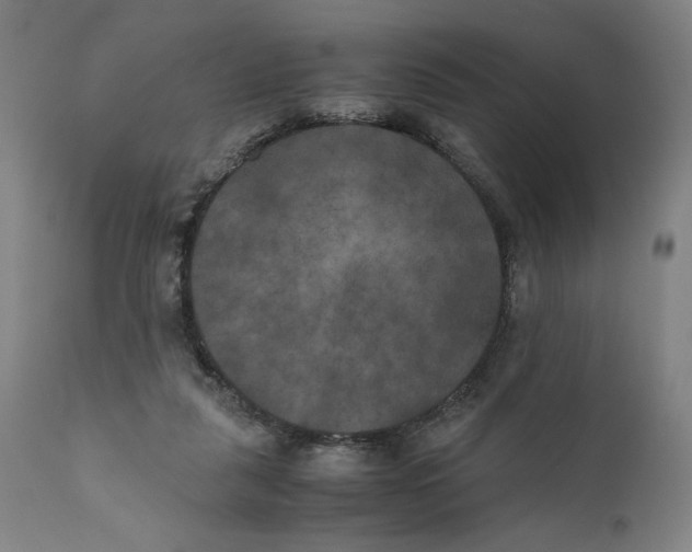 X0000111010259200907101323