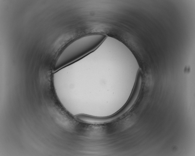 X0000111010260200907101323