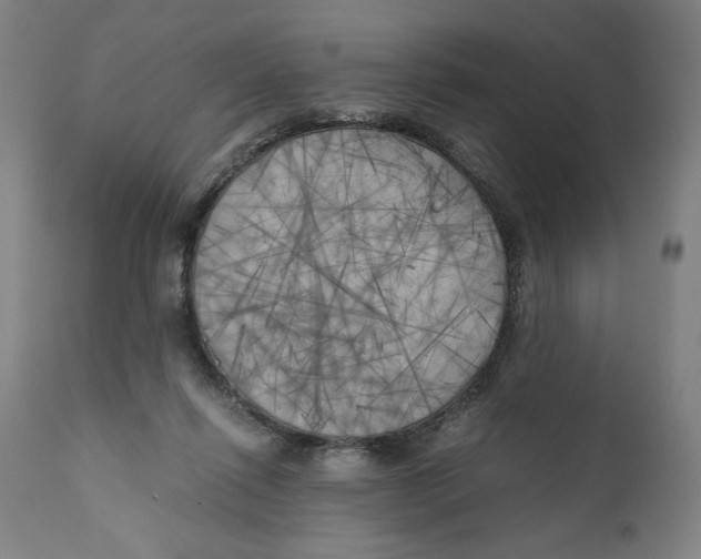 X0000111010262200907101323
