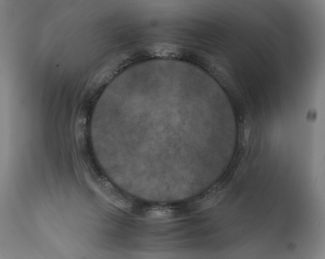 X0000111010263200907101323