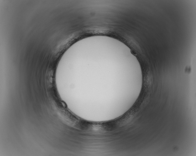X0000111010264200907101323